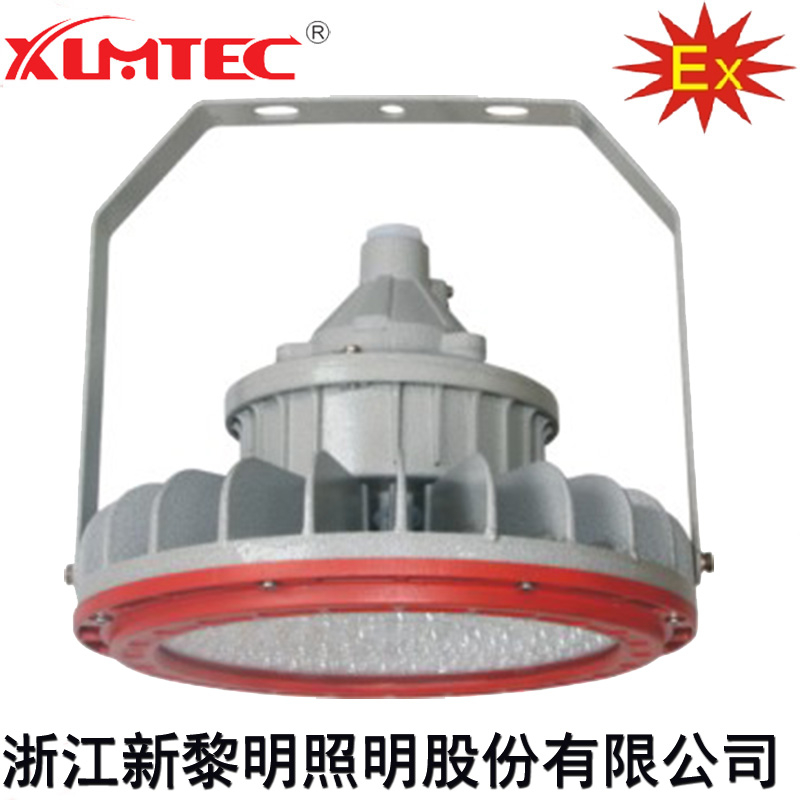BZD180-101系列防爆免维护LED照明灯(IIC)
